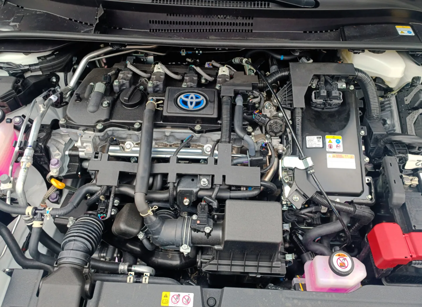 Toyota Corolla SEG Híbrido 2023