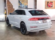 AUDI Q8 55 TFSI 3.0 HIBRIDA 2019