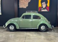 VOLKSWAGEN ESCARABAJO 1953